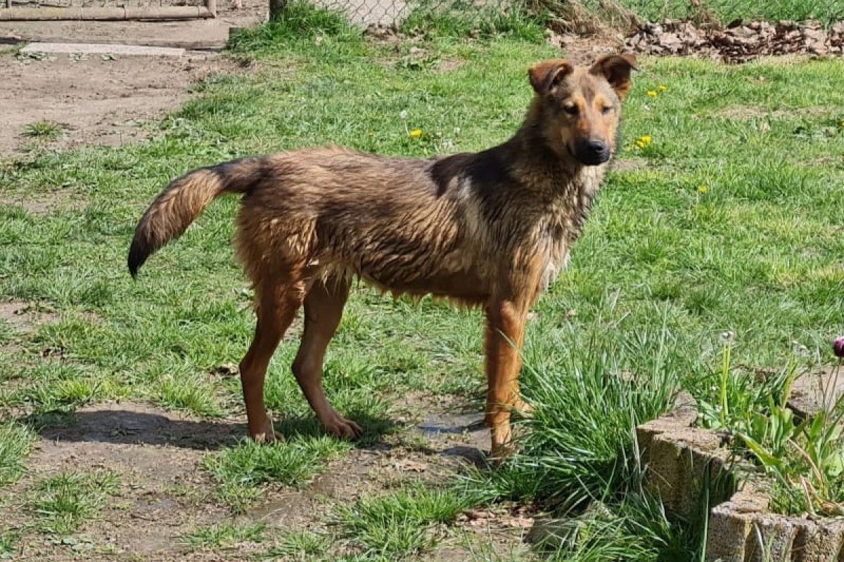 Ragnar