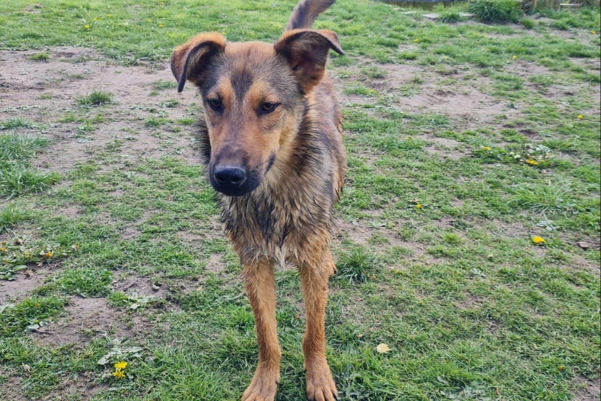 Ragnar
