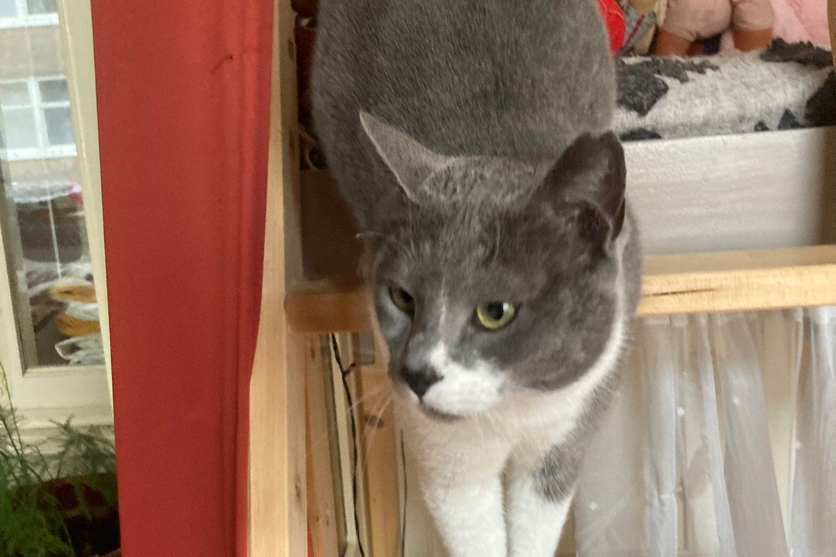 Tom