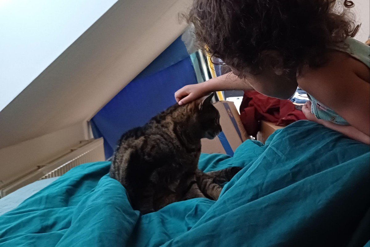Binkie