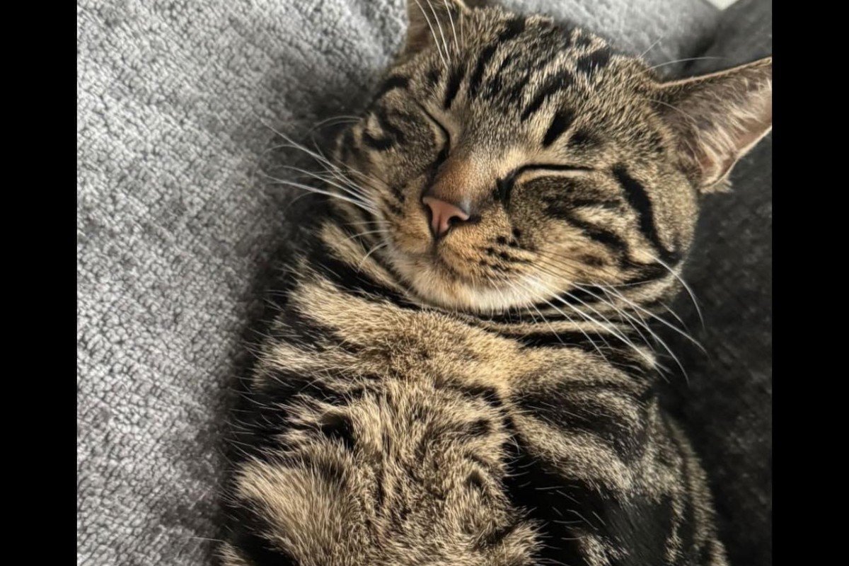 Simba