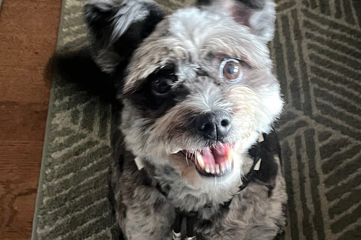 Frankie