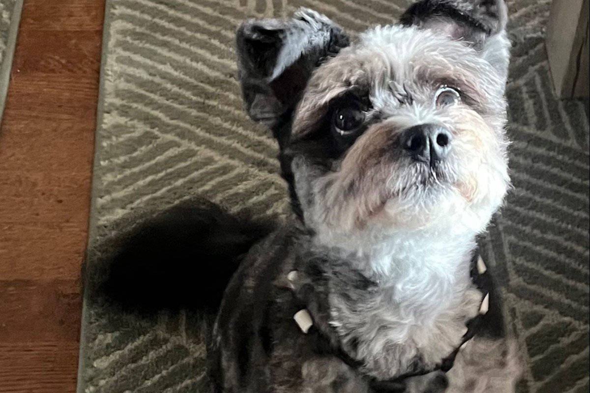 Frankie