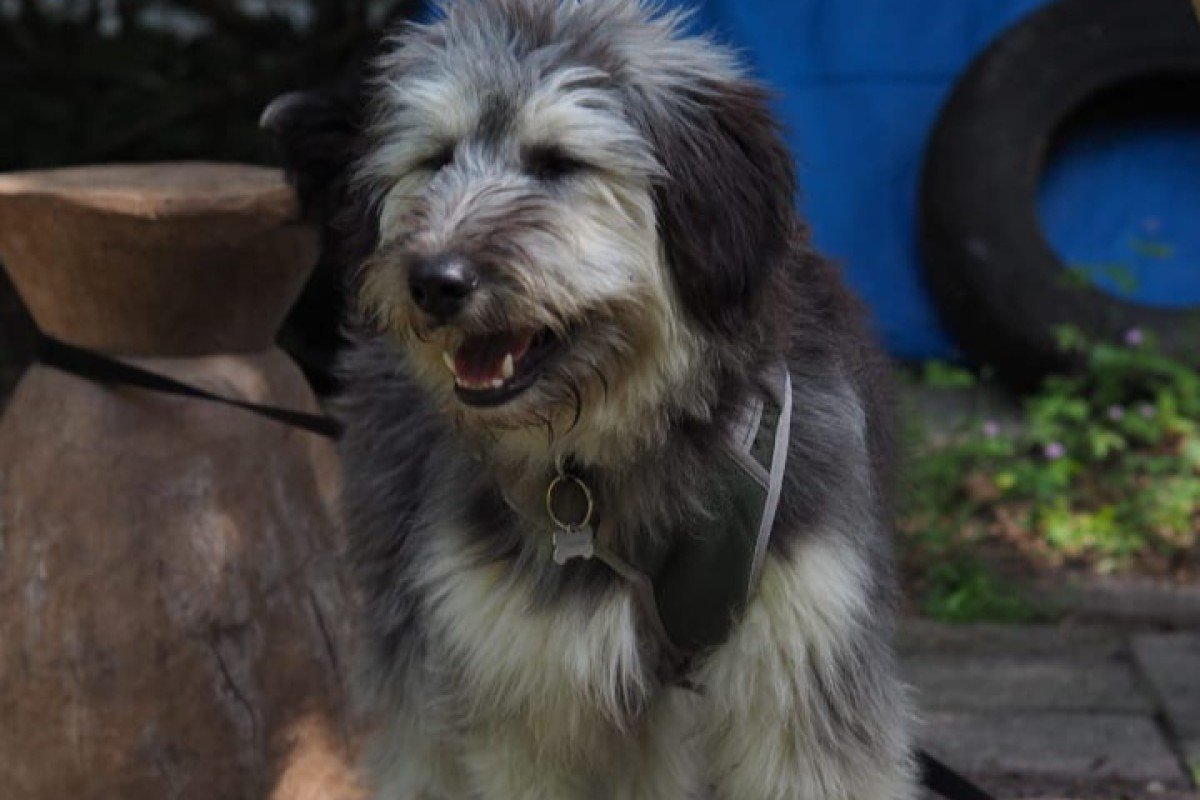 Bindi