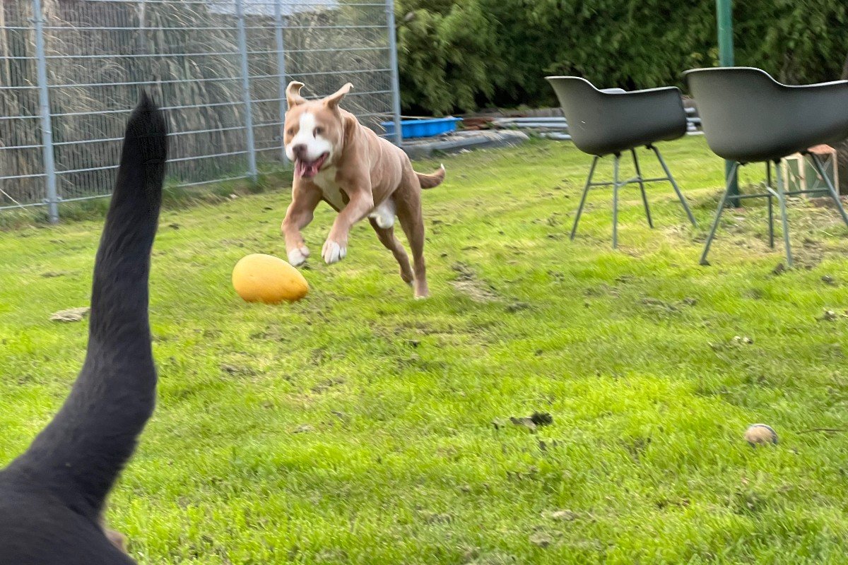 Pablo