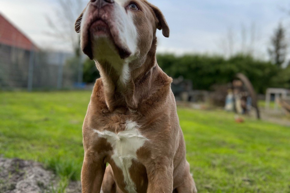 Pablo