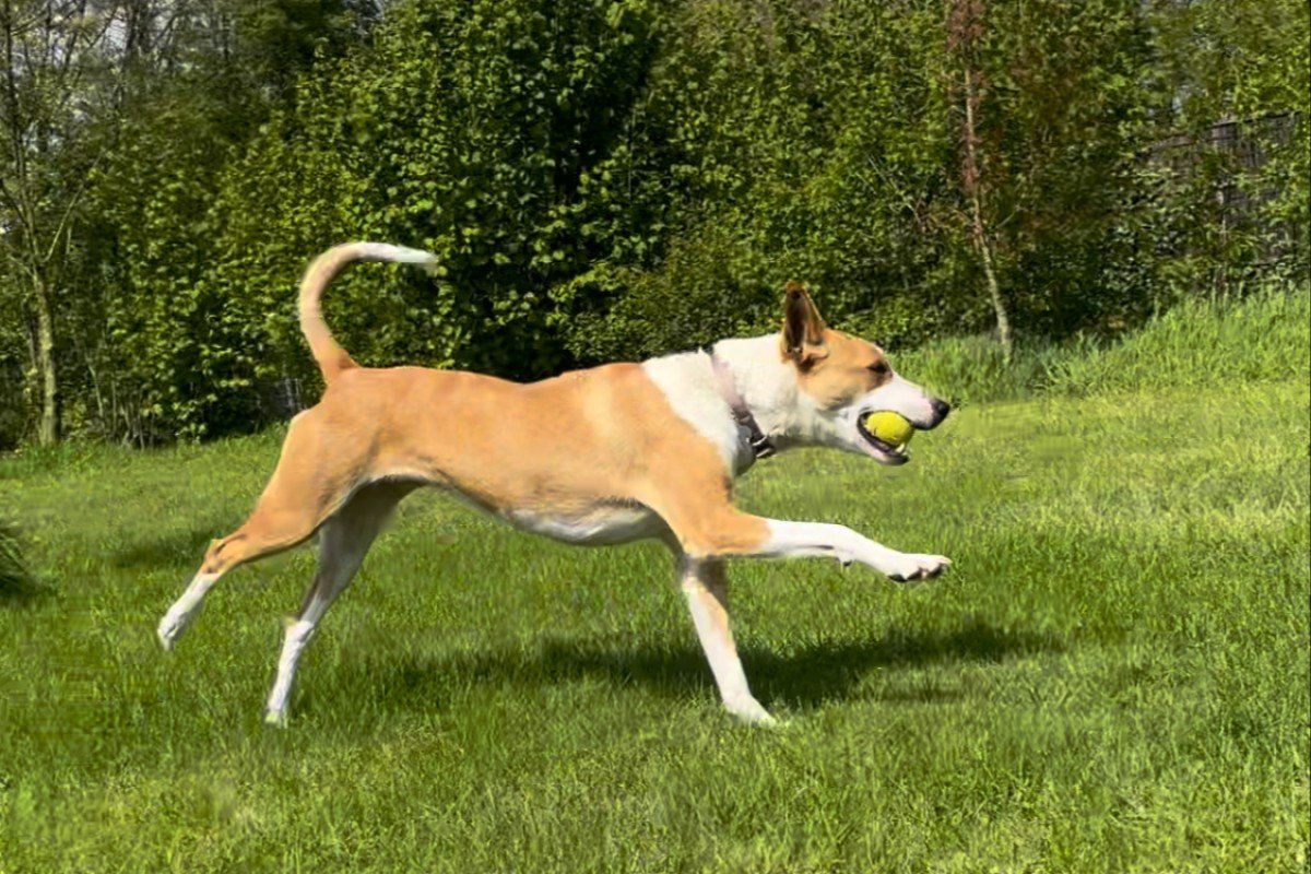 Lua