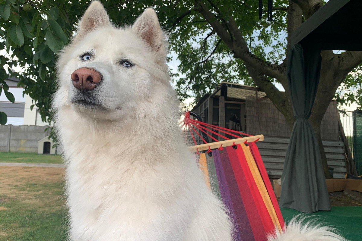Mishka