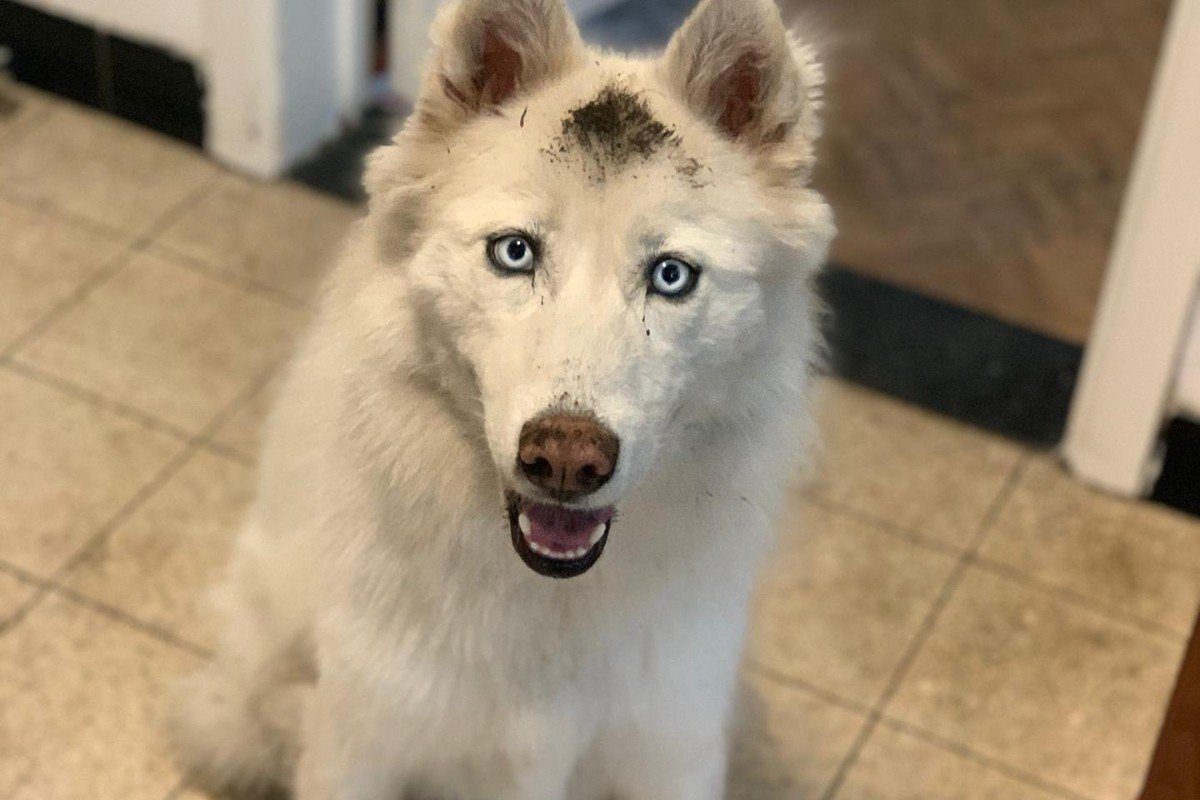 Mishka