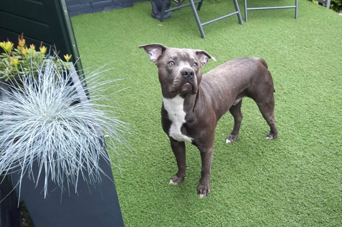 Zeus