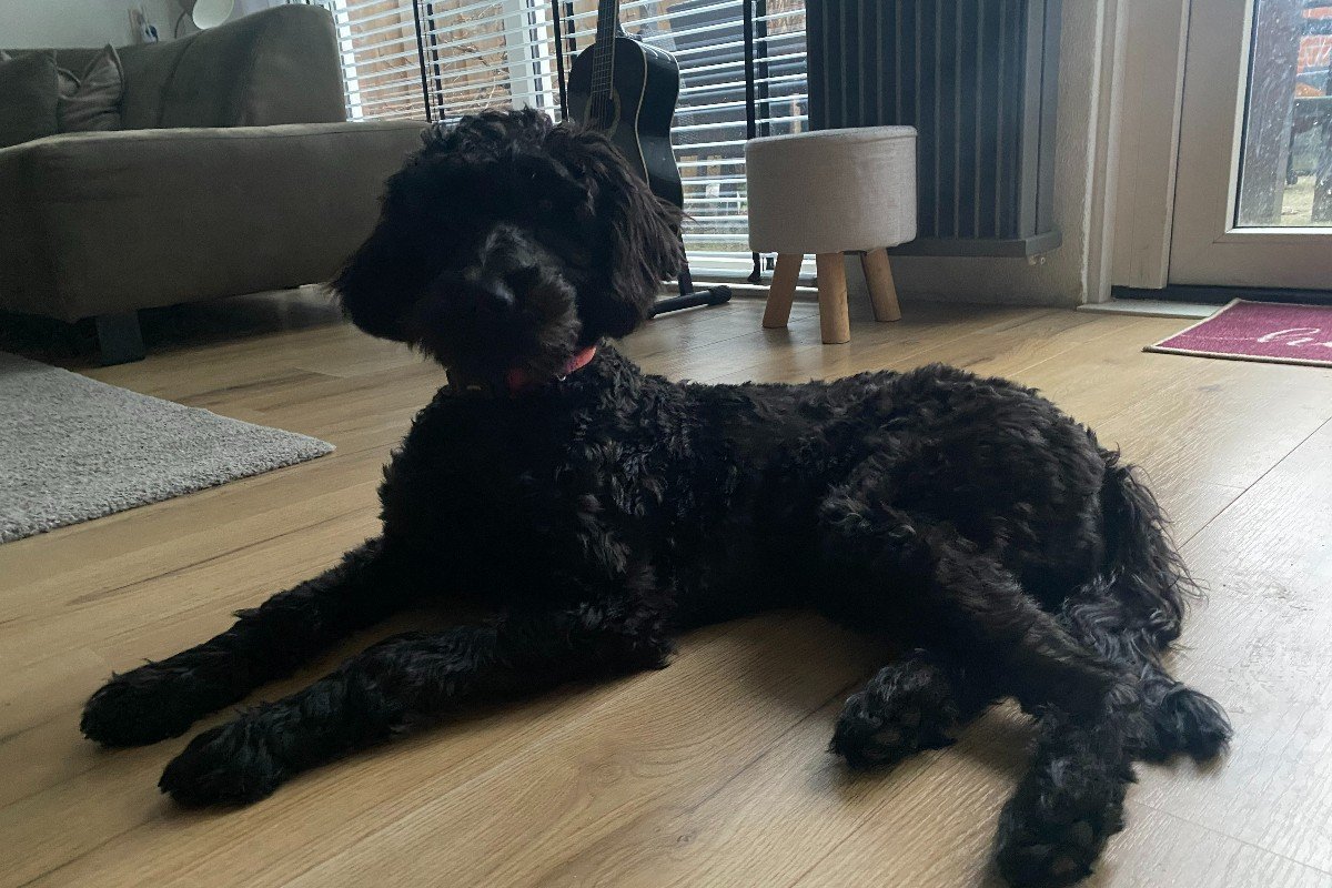 Luna