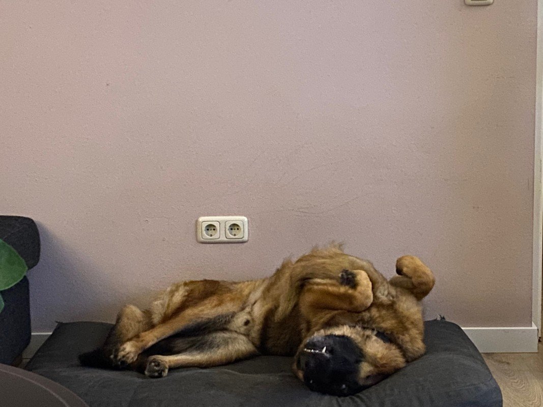 Dex