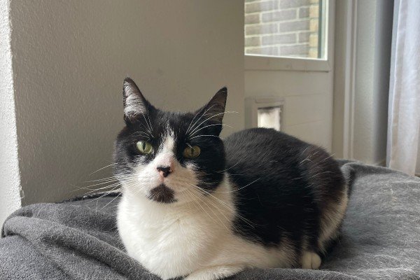 Binkie