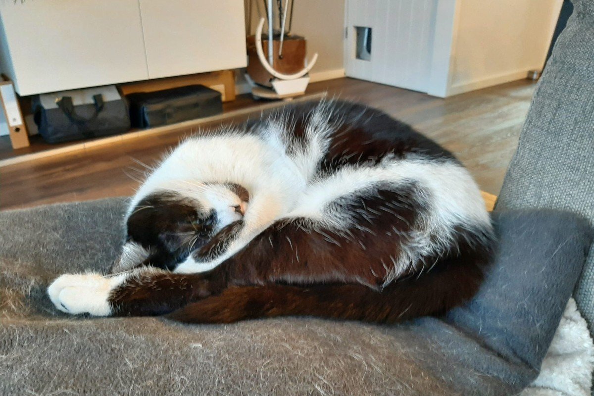 Binkie