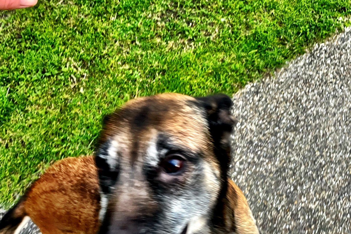 Ruth