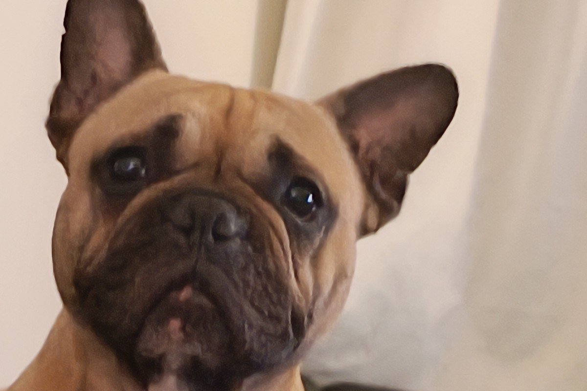 Mollie