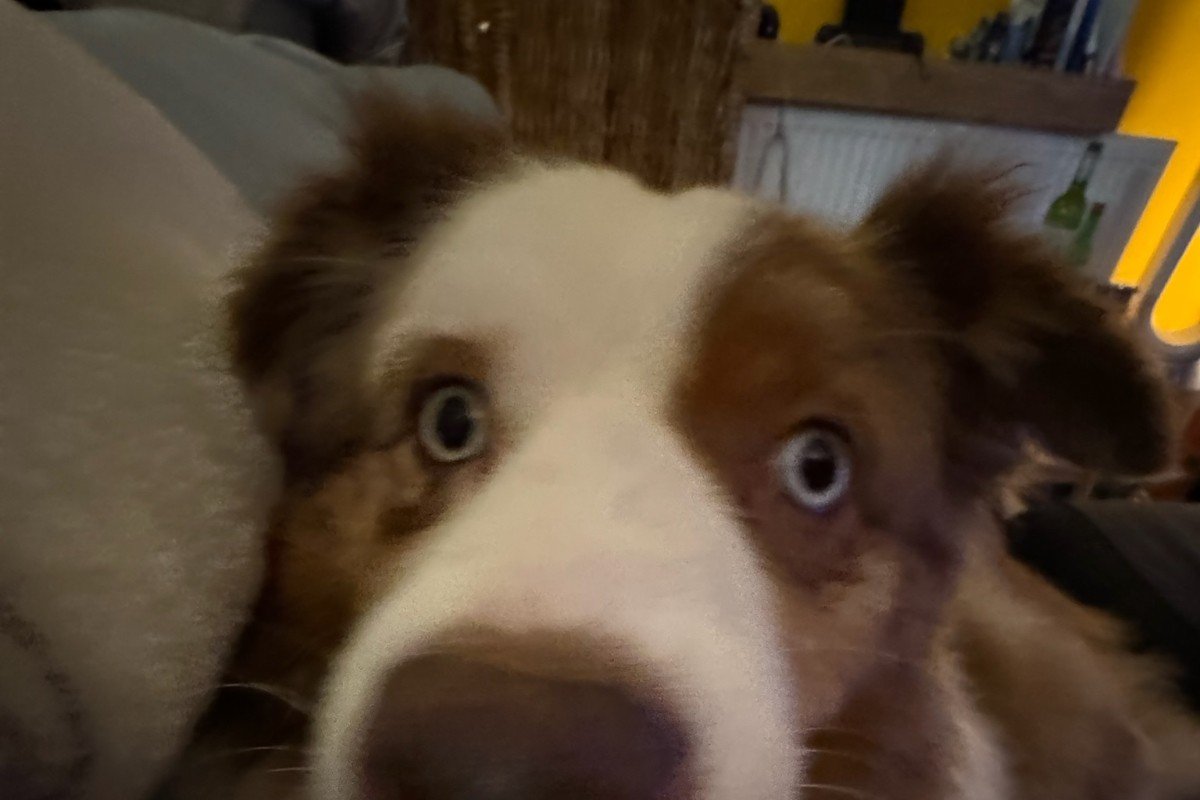 Sierra