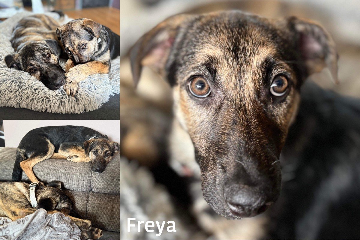 Freya