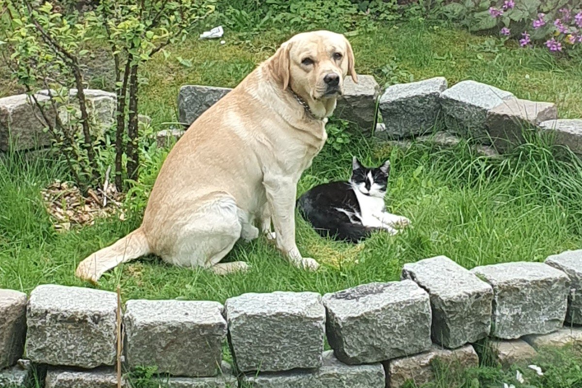 *SPOED* Max