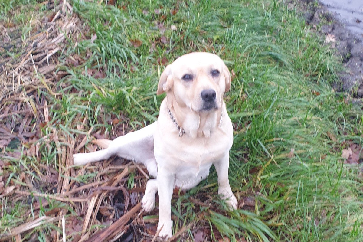 *SPOED* Max