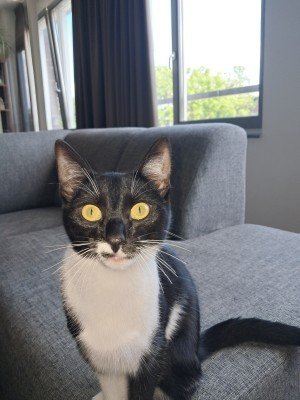 Coco