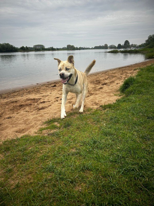 Spike