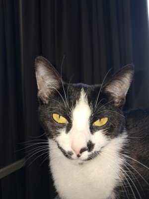 Luna