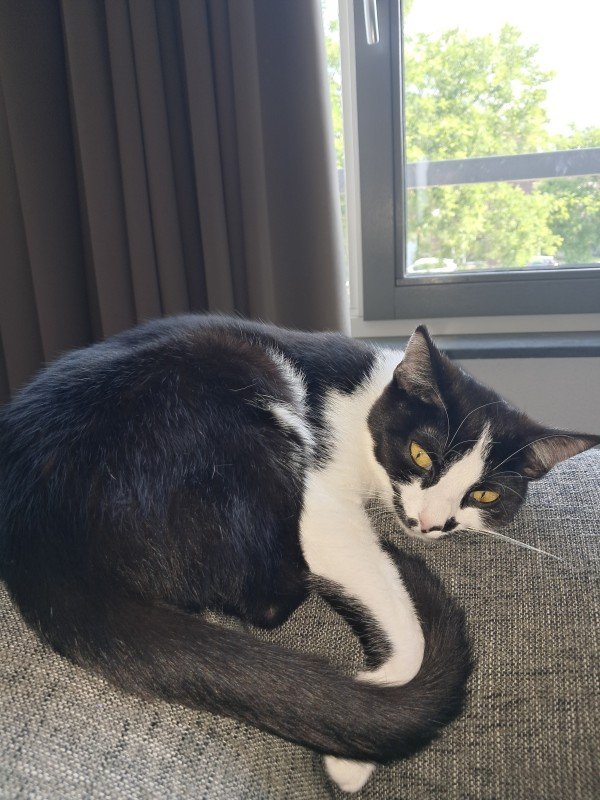 Luna