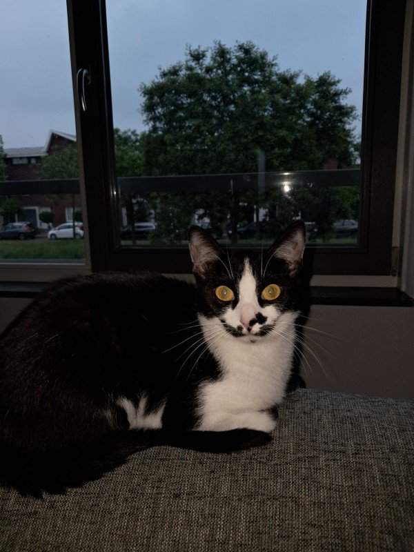 Luna