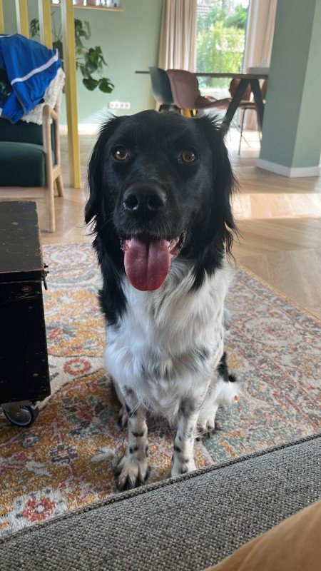 Rosie