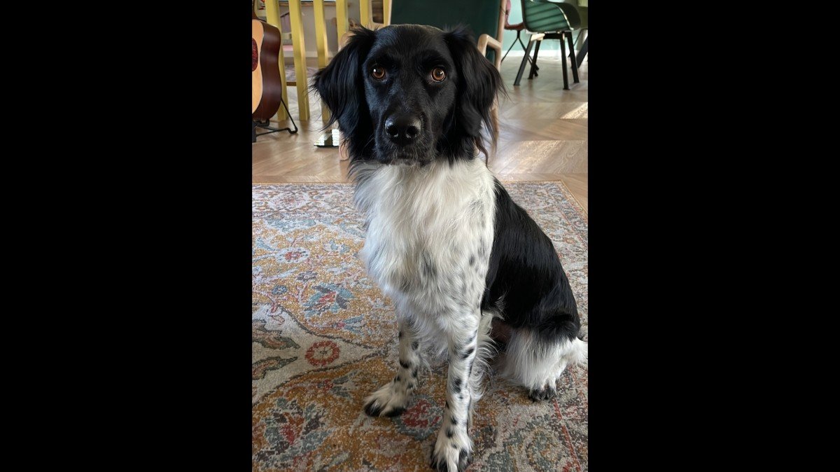 Rosie