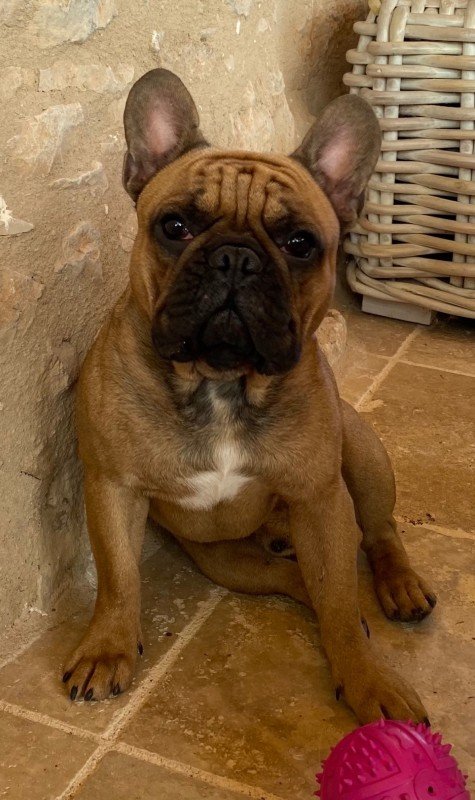 Jaxx