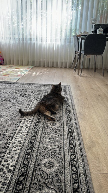 Mia