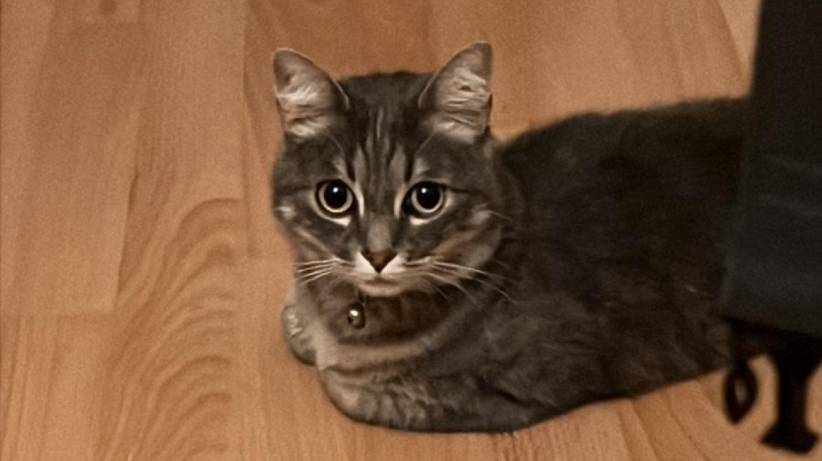 Mia