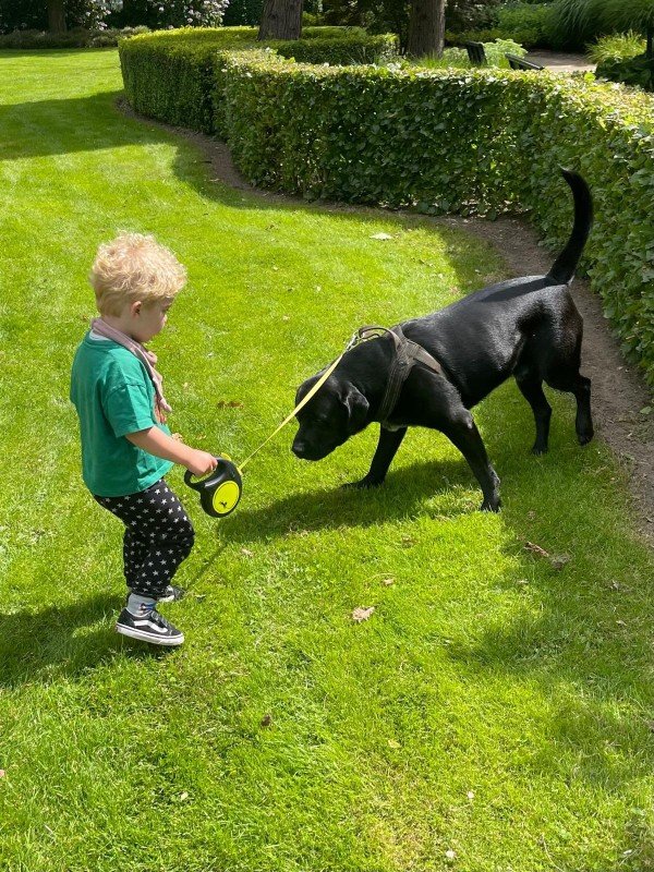 Loetje