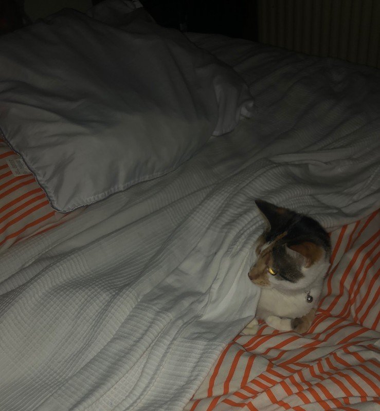 Coco