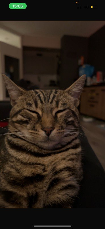Aslan