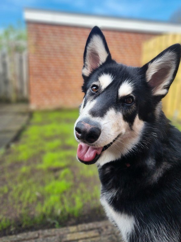 Ayka