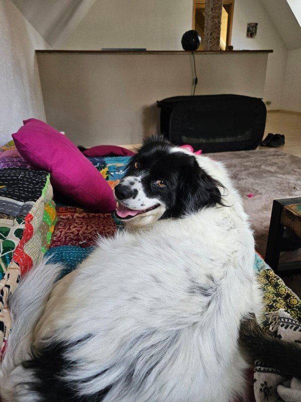Otto
