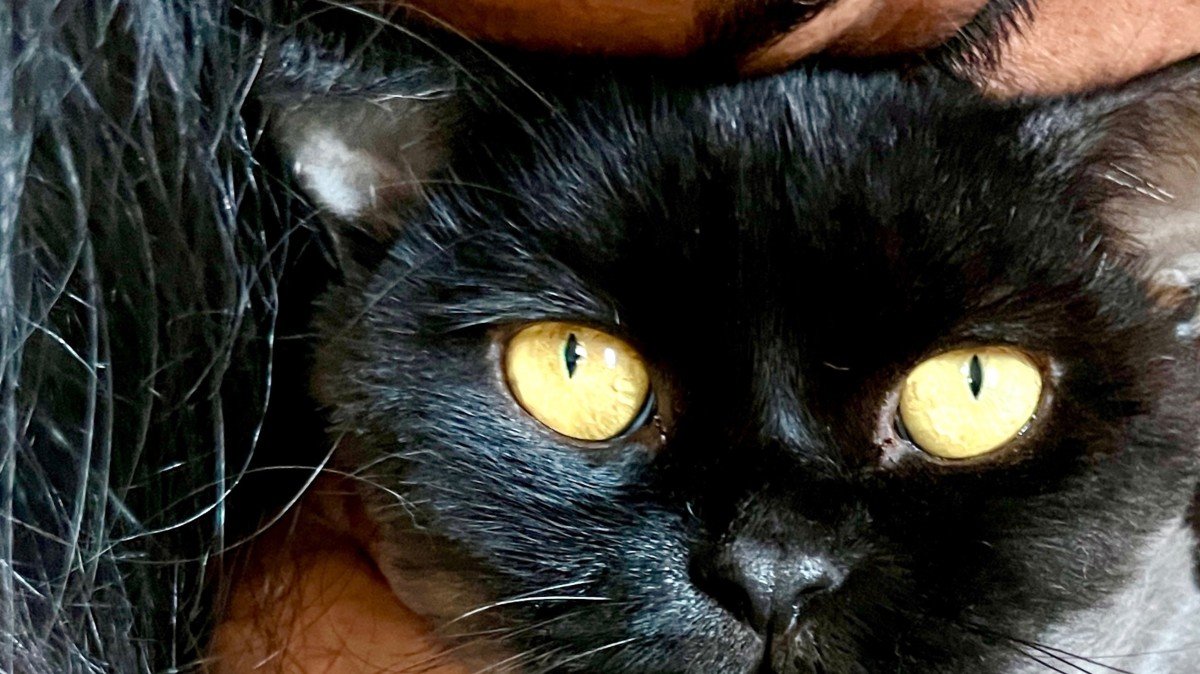 Matteo
