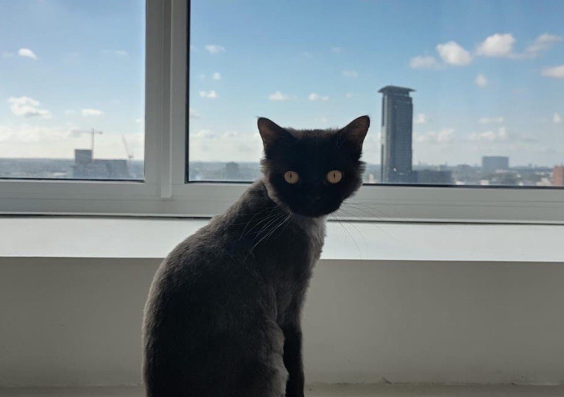 Matteo