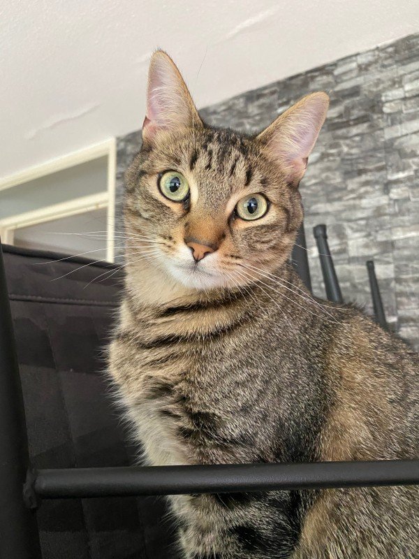 Max