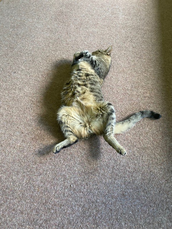 Max