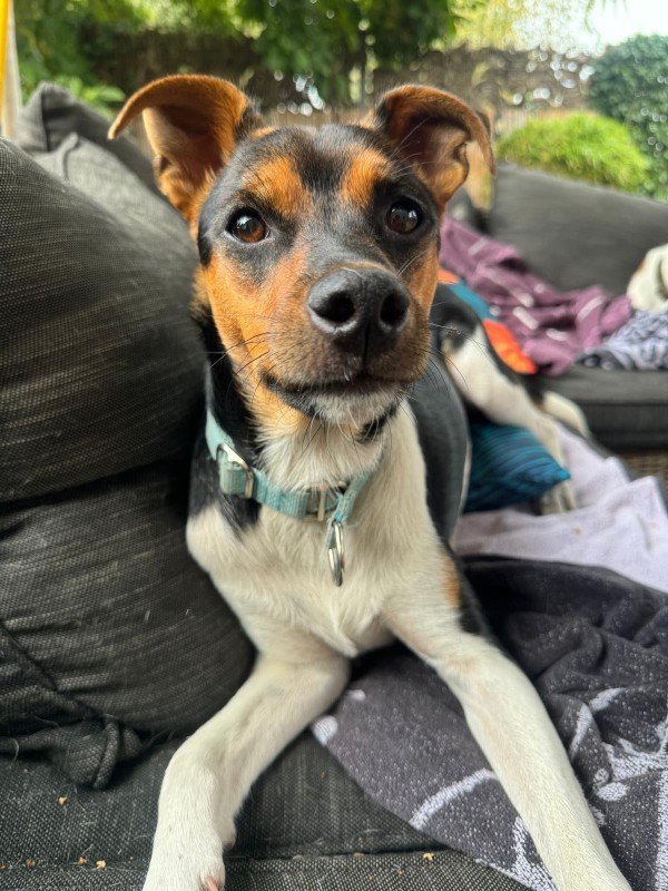 Duko
