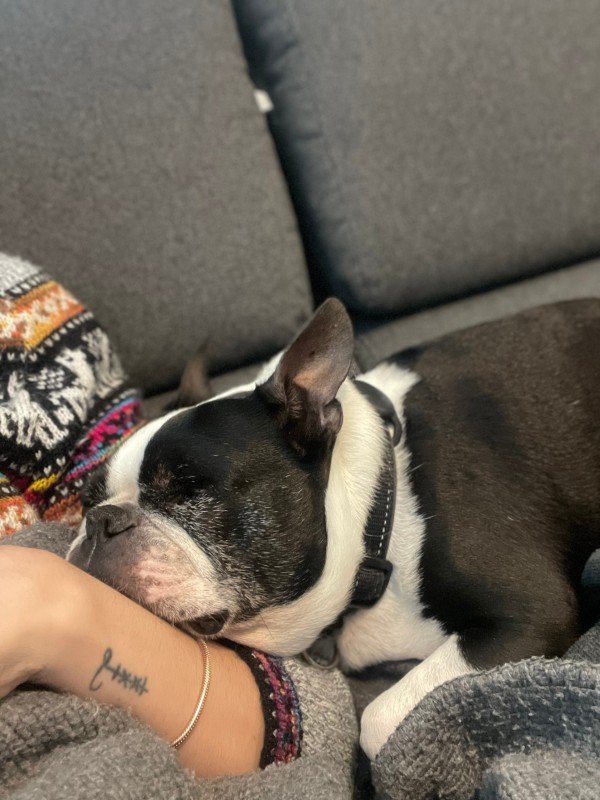 Oreo