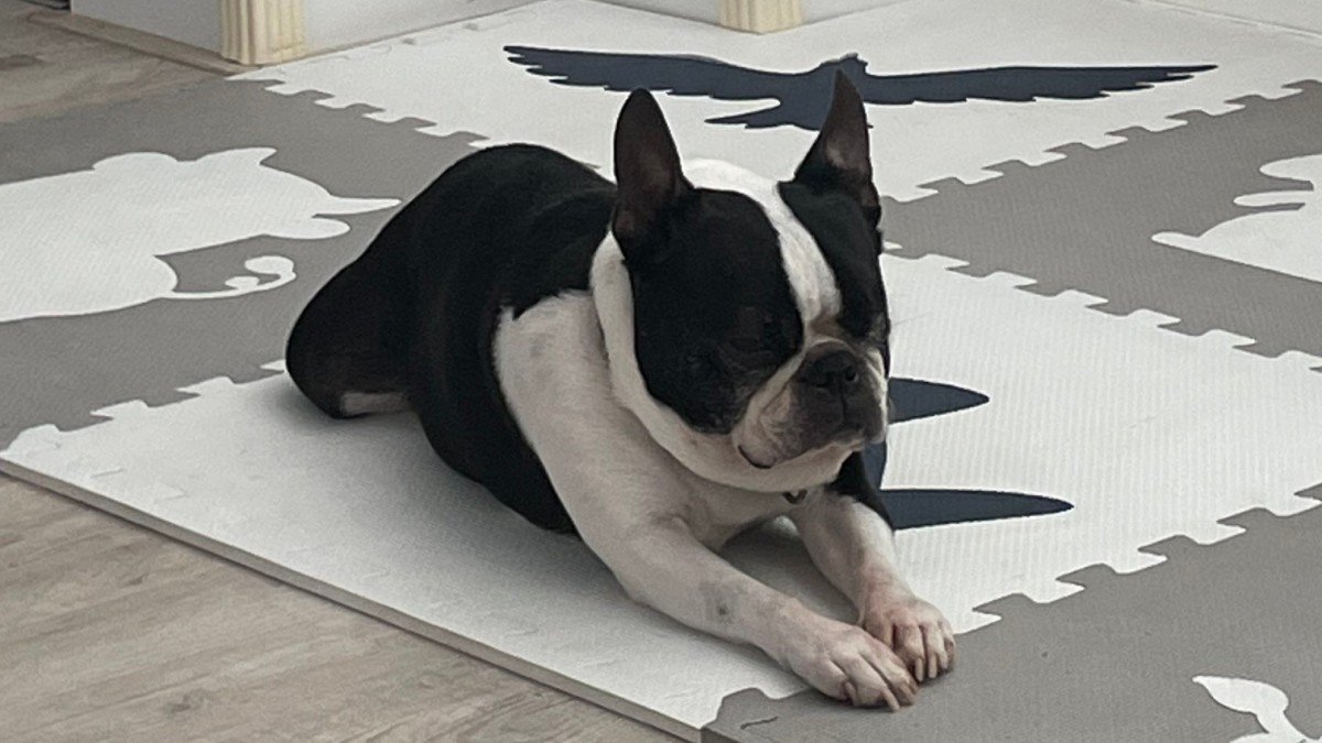 Oreo