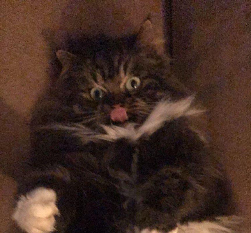 Simba
