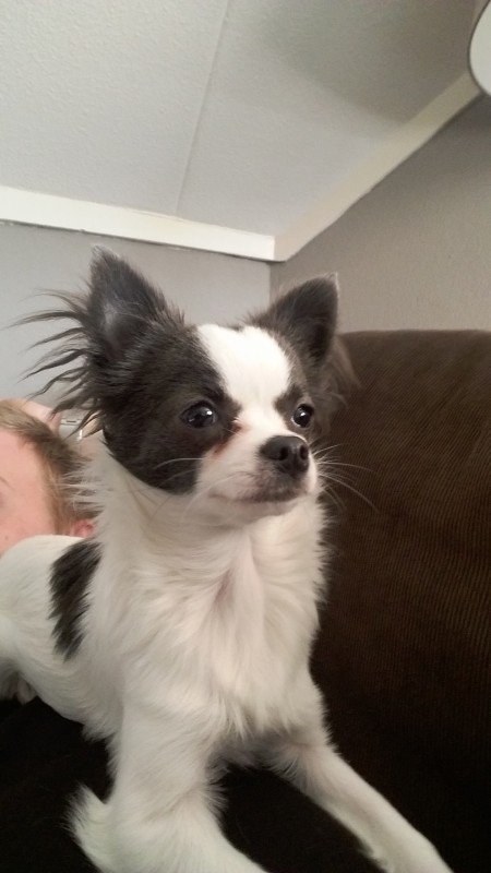 Bailey