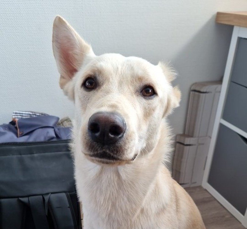 Togo
