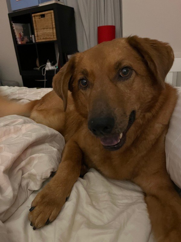 Zeus